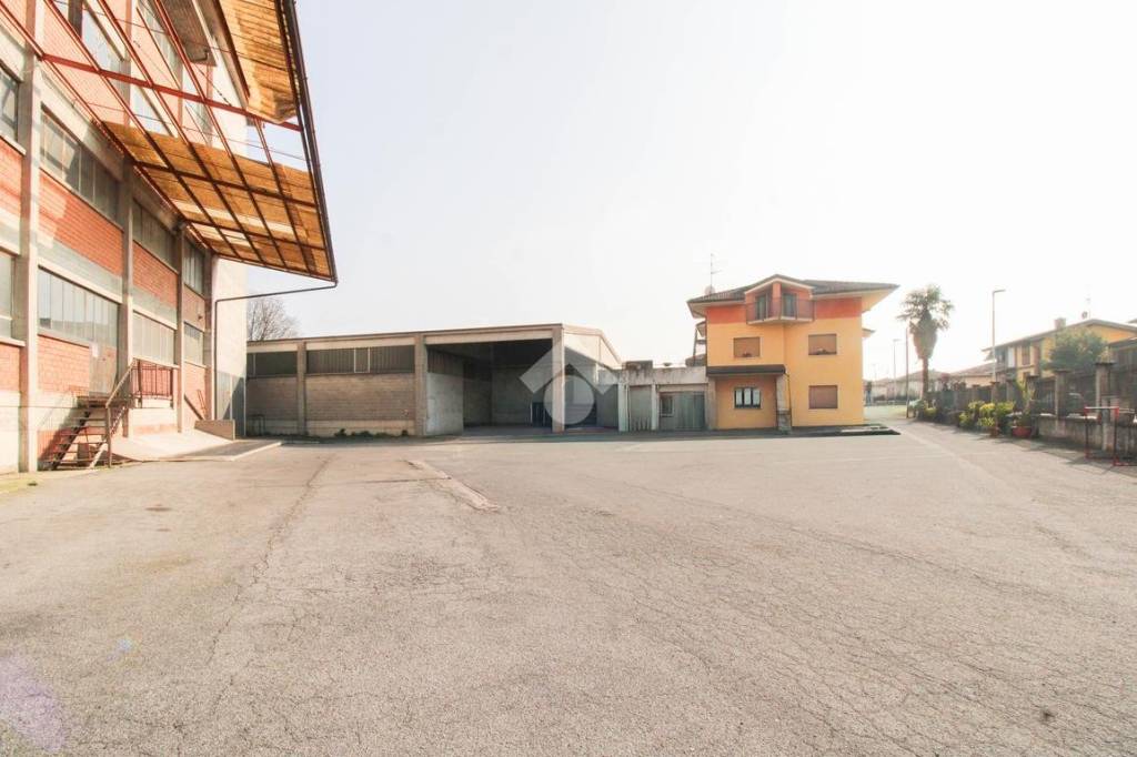 immagine annuncio 9 di 15