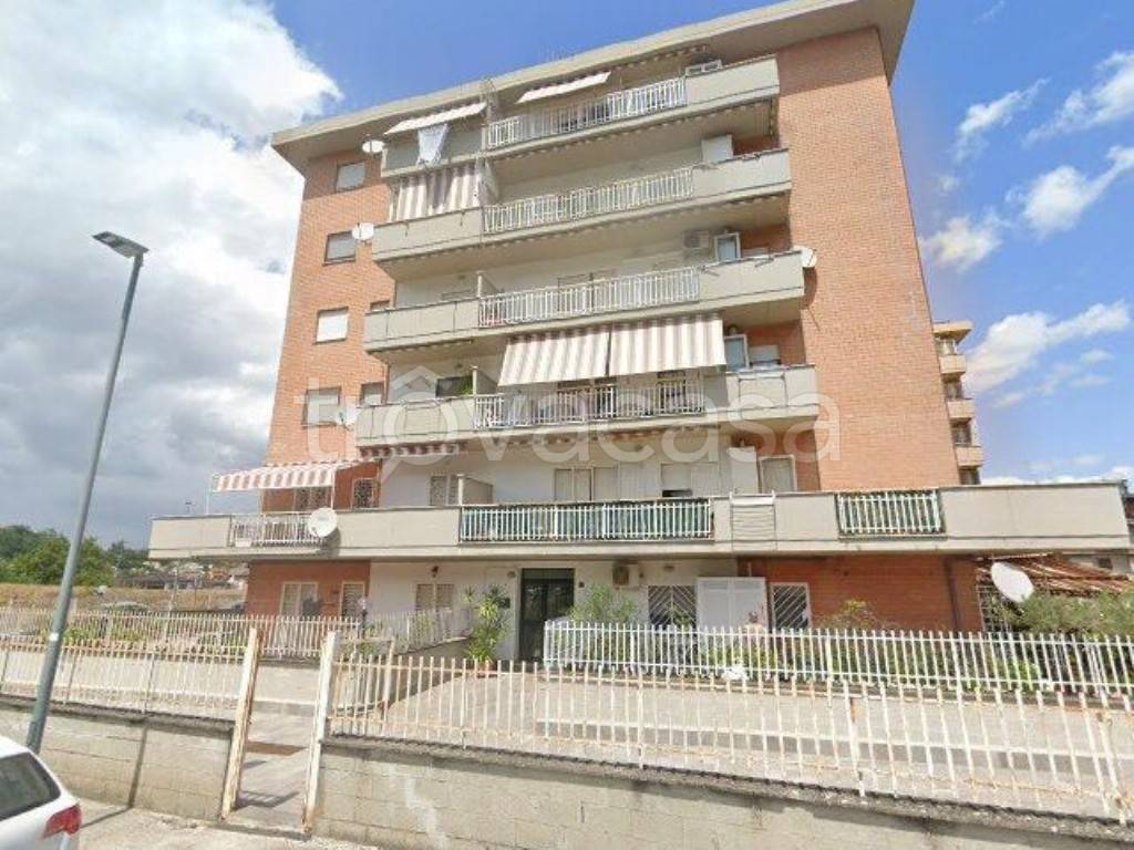 immagine annuncio 3 di 14