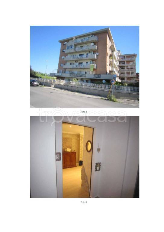 immagine annuncio 5 di 14