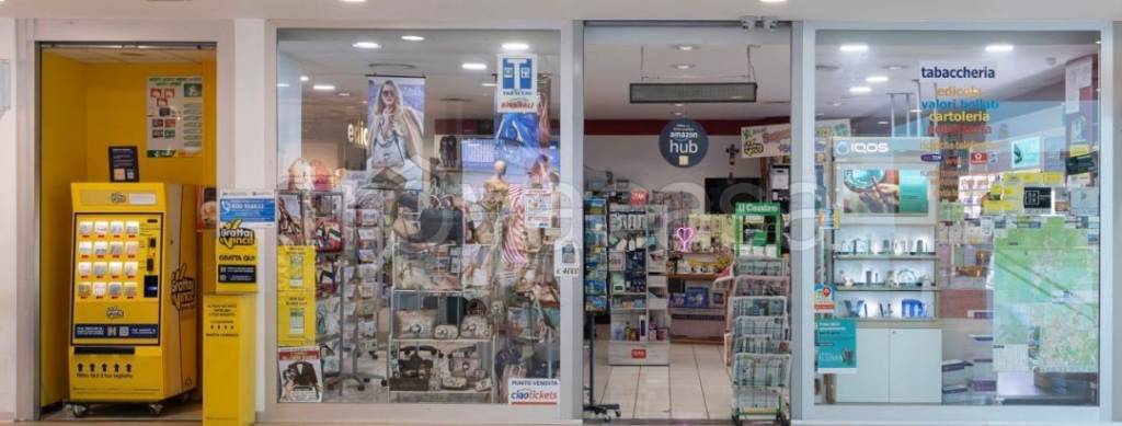 immagine annuncio 5 di 11