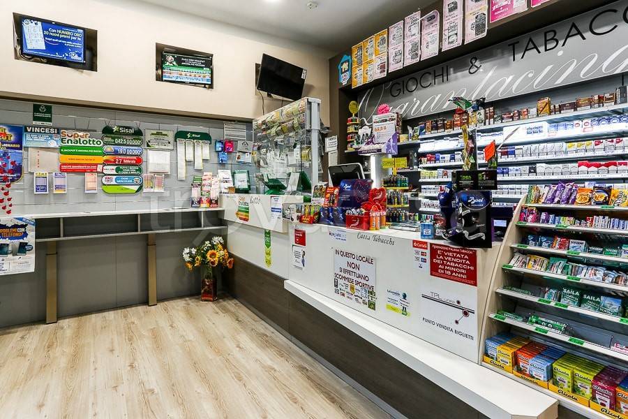 immagine annuncio 9 di 11