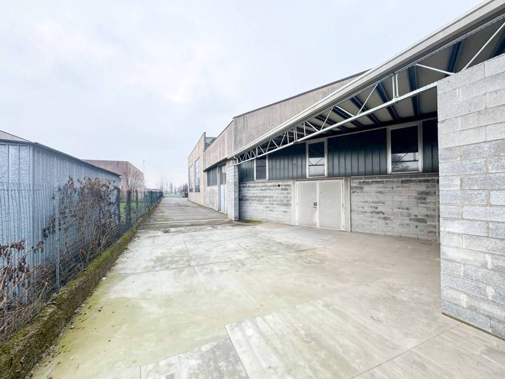 immagine annuncio 11 di 15