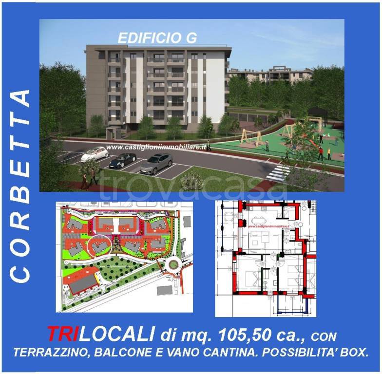 immagine annuncio 9 di 15