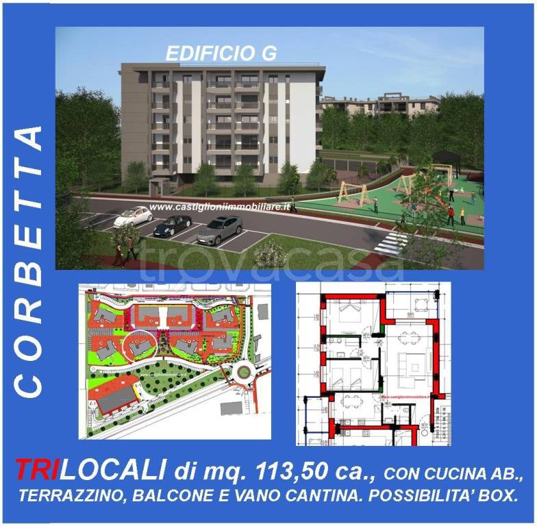 immagine annuncio 11 di 15