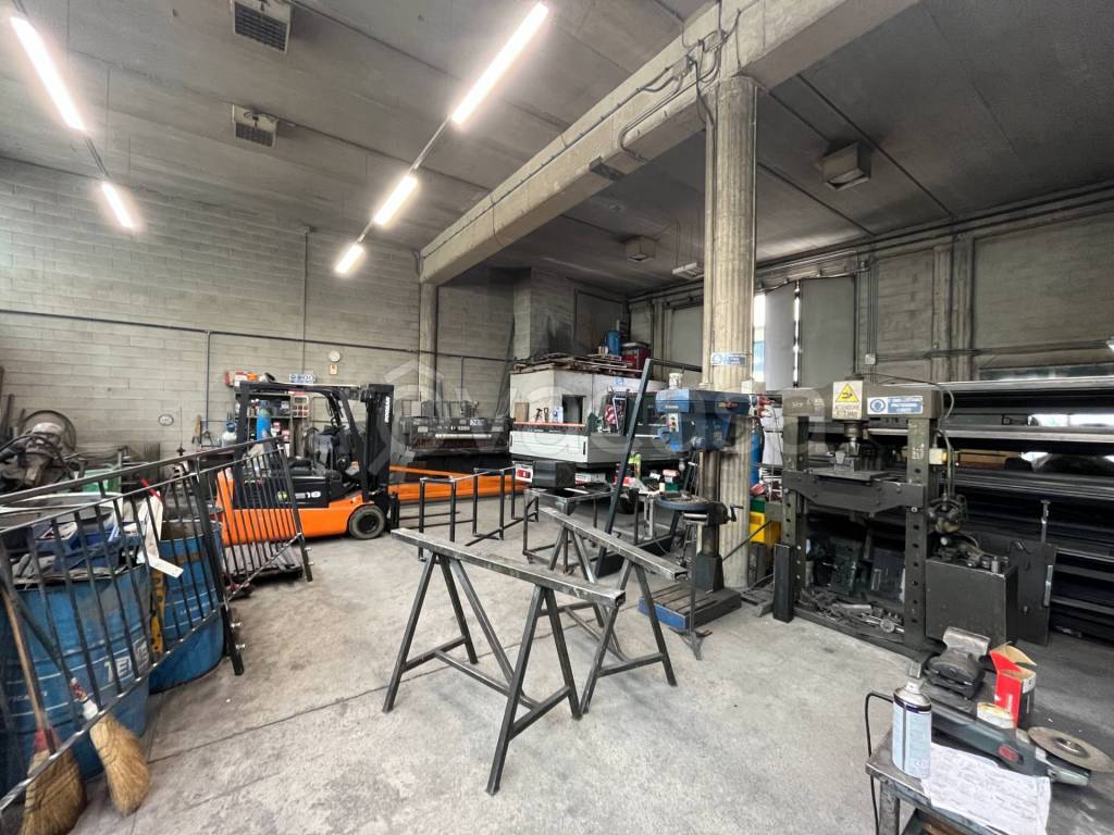 immagine annuncio 10 di 11