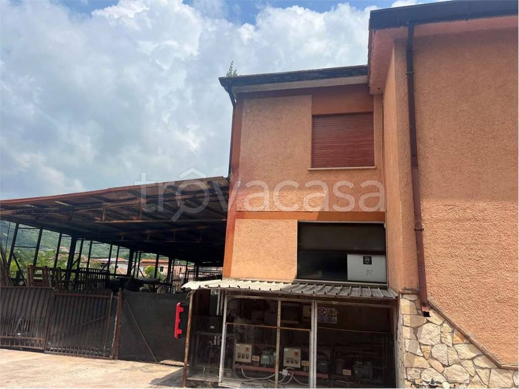 immagine annuncio 5 di 7