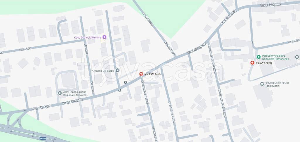 immagine annuncio 2 di 11