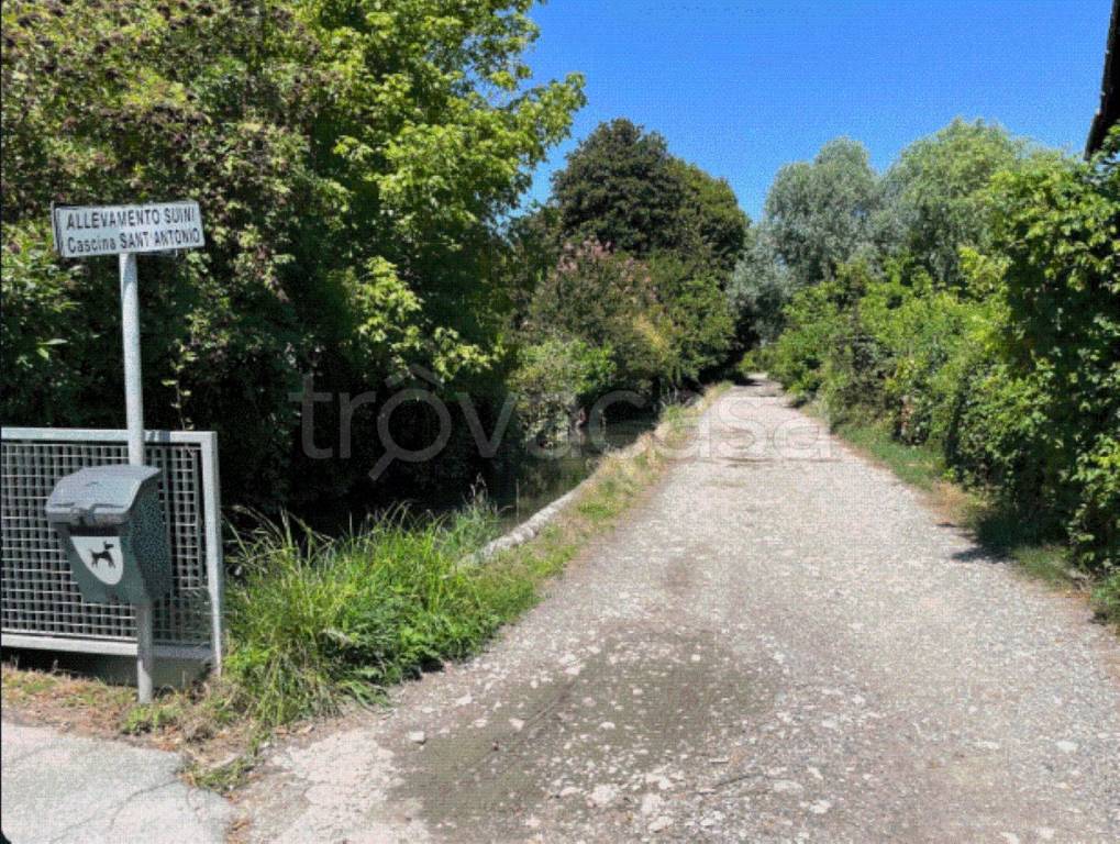 immagine annuncio 10 di 11