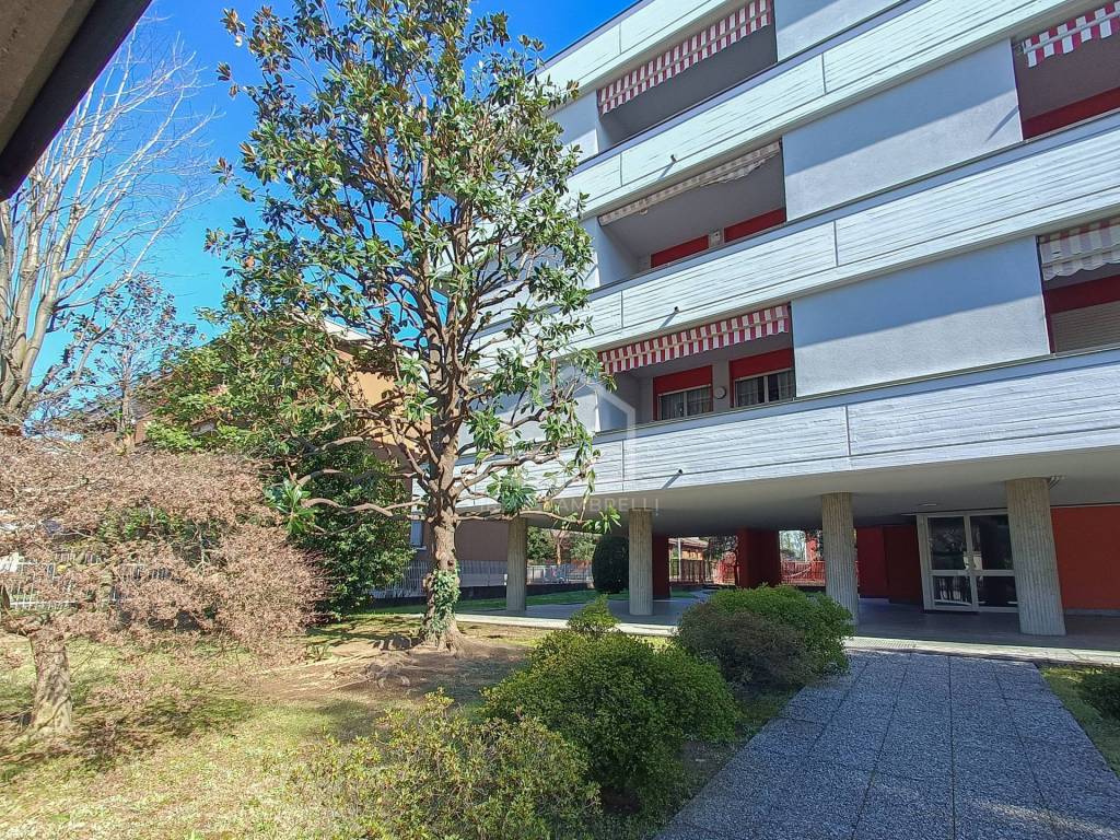 immagine annuncio 1 di 15