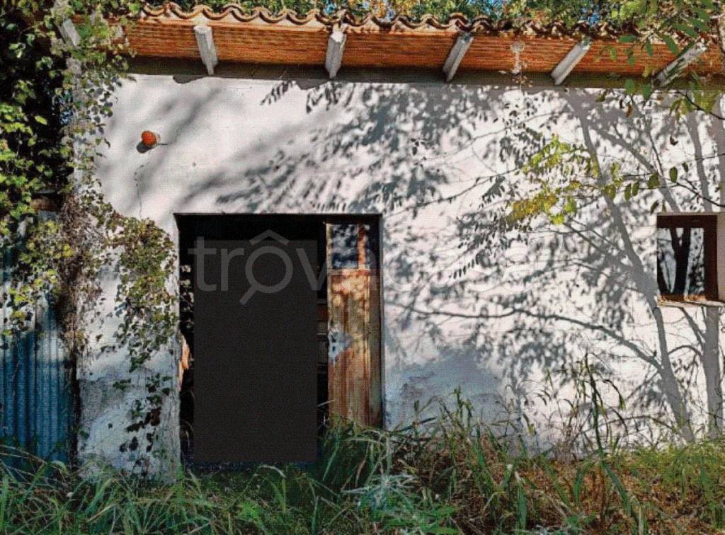 immagine annuncio 1 di 8