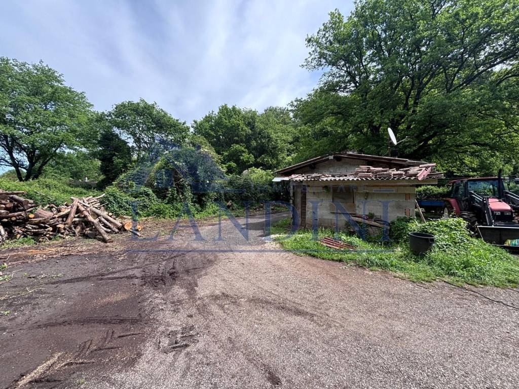 immagine annuncio 12 di 15