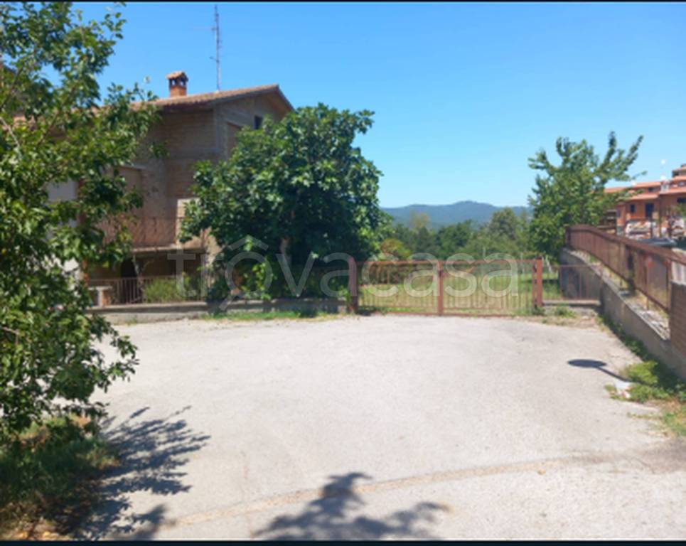 immagine annuncio 6 di 11