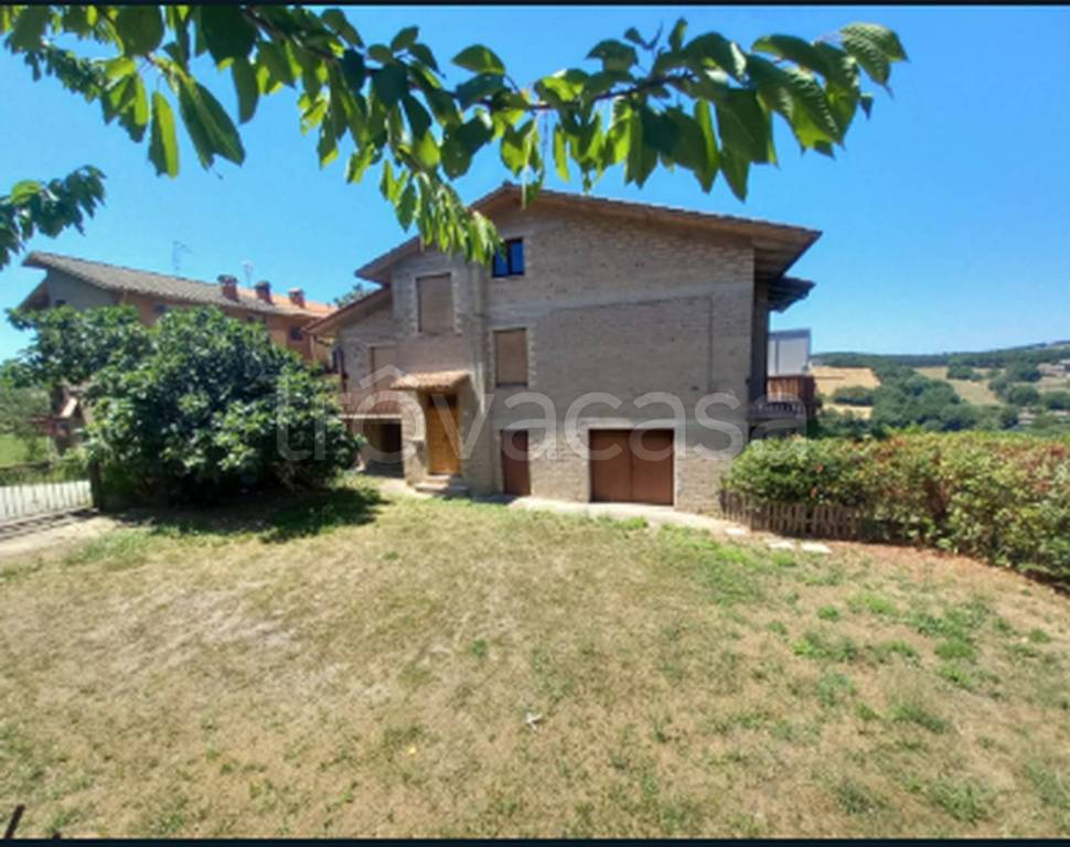 immagine annuncio 7 di 11