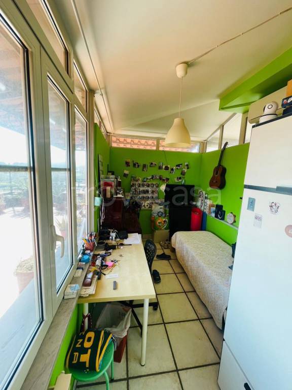 immagine annuncio 10 di 14