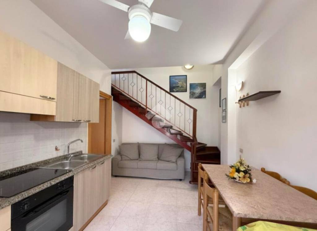 immagine annuncio 1 di 14