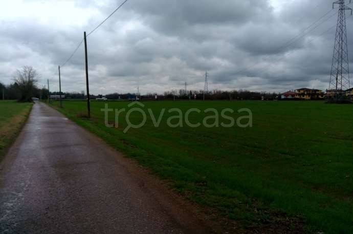 immagine annuncio 7 di 14