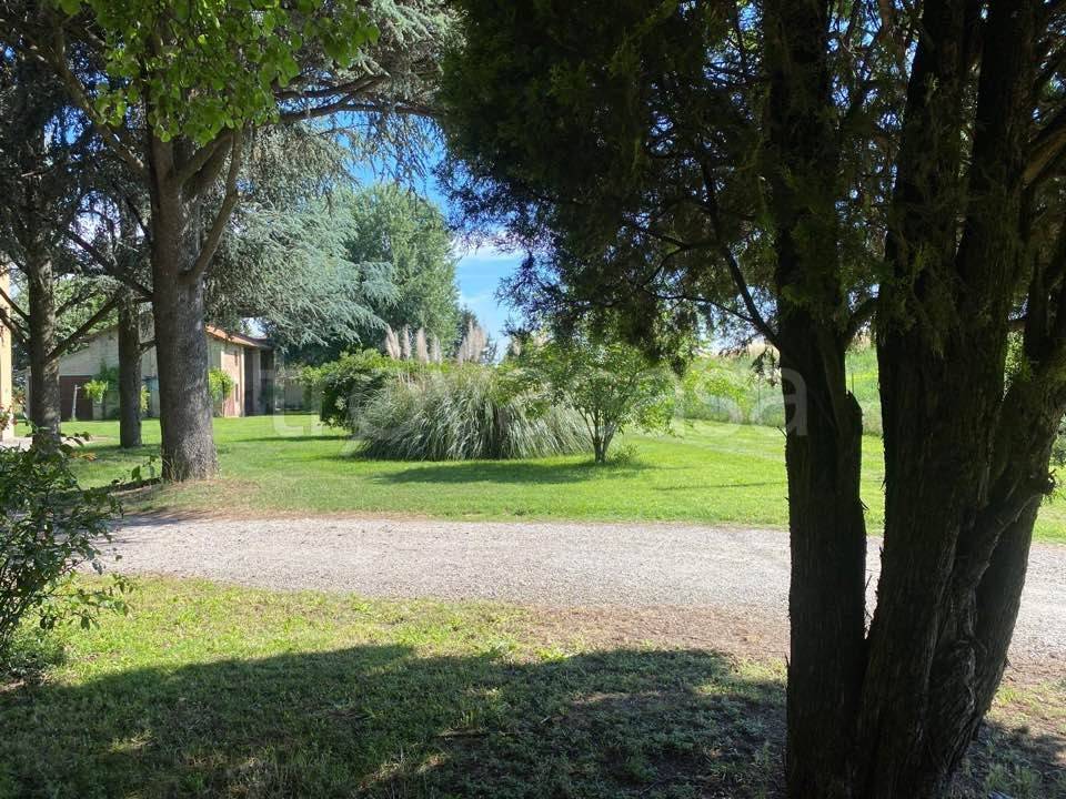 immagine annuncio 3 di 8