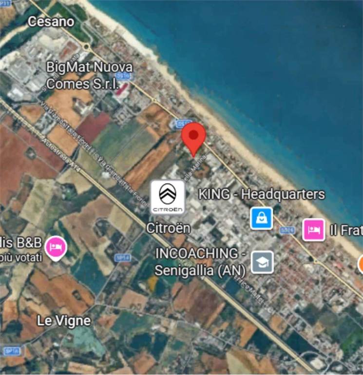 immagine annuncio 9 di 13