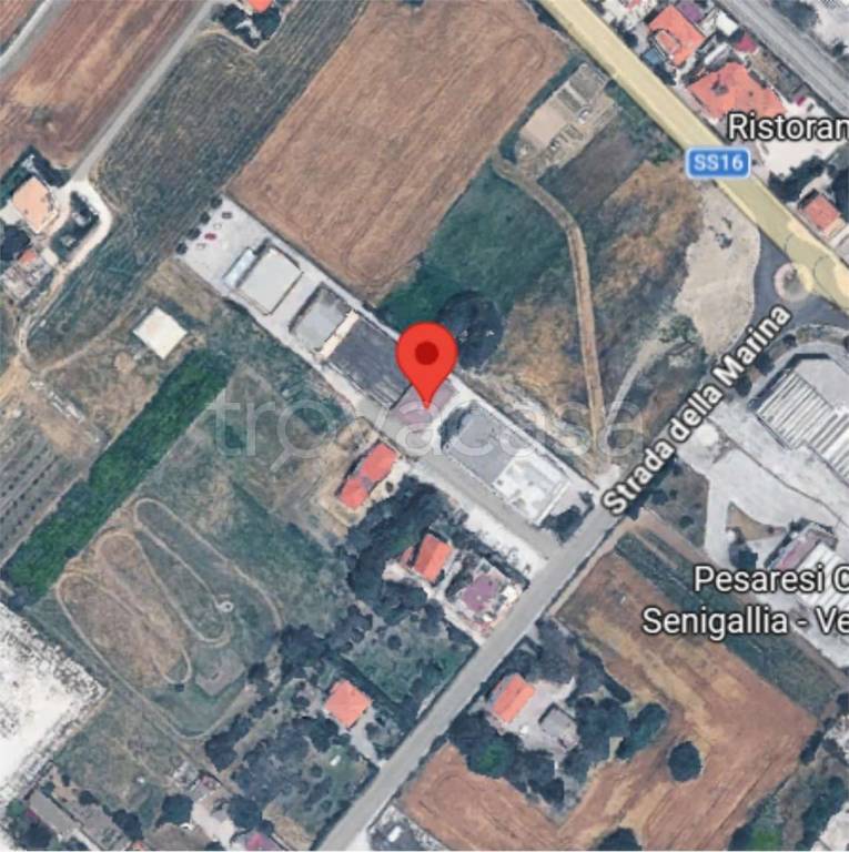 immagine annuncio 12 di 13