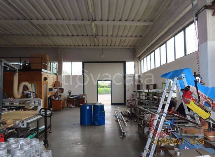 immagine annuncio 2 di 14