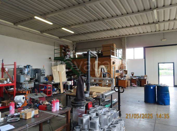 immagine annuncio 3 di 14