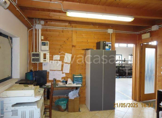 immagine annuncio 5 di 14