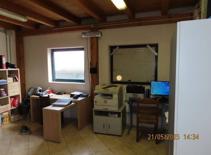 immagine annuncio 6 di 14