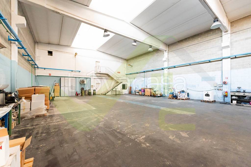 immagine annuncio 10 di 15