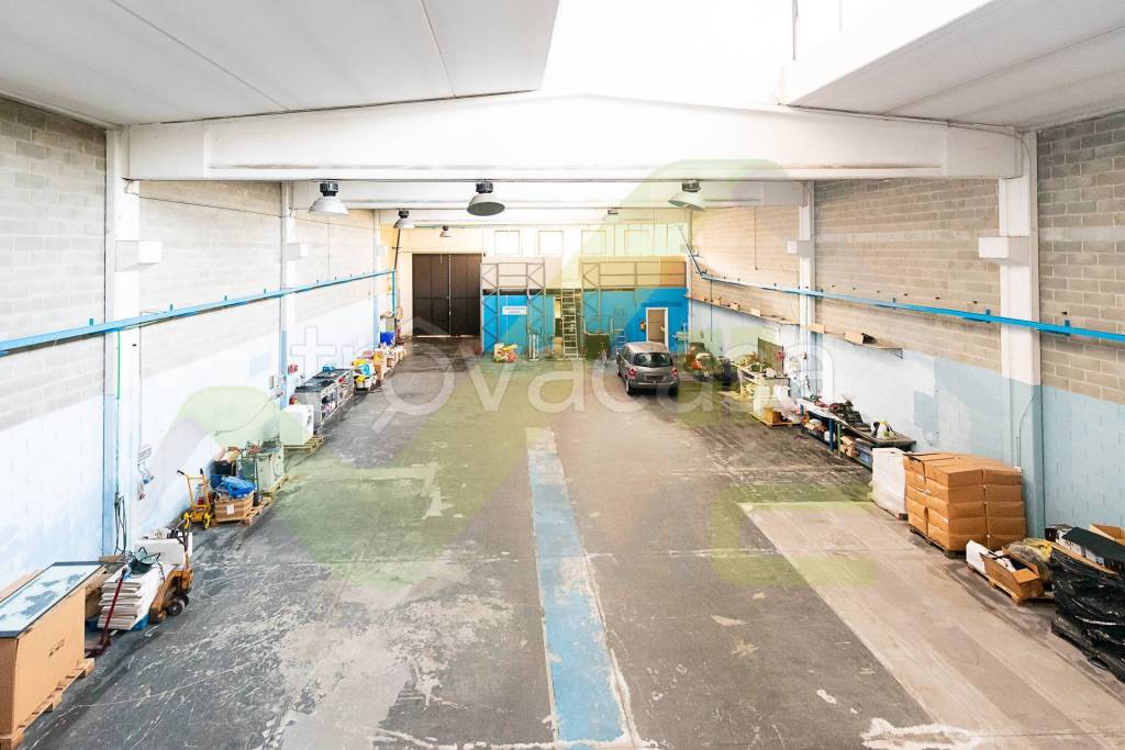 immagine annuncio 11 di 15