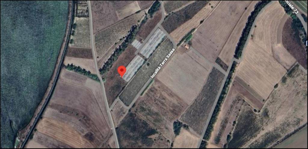 immagine annuncio 10 di 11