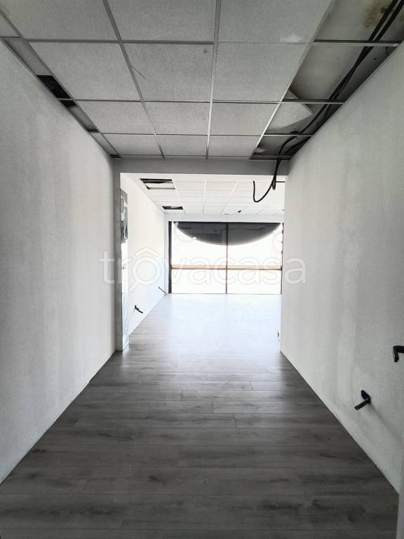 immagine annuncio 5 di 7