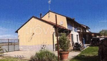 immagine annuncio 3 di 8