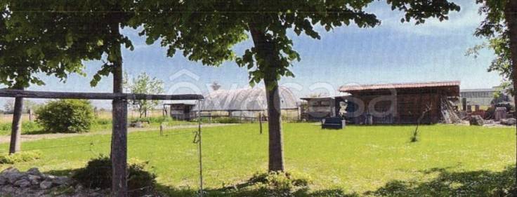 immagine annuncio 4 di 8