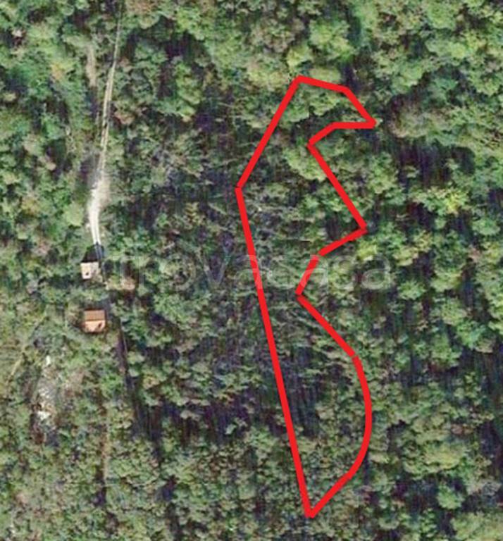 immagine annuncio 2 di 6