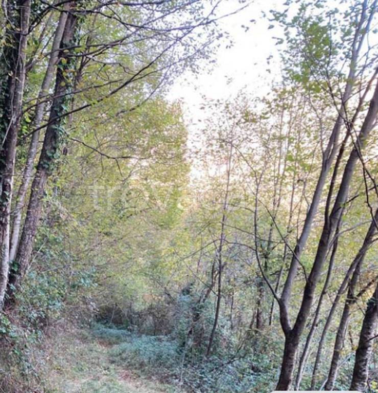 immagine annuncio 4 di 6