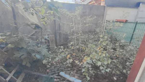 immagine annuncio 8 di 13