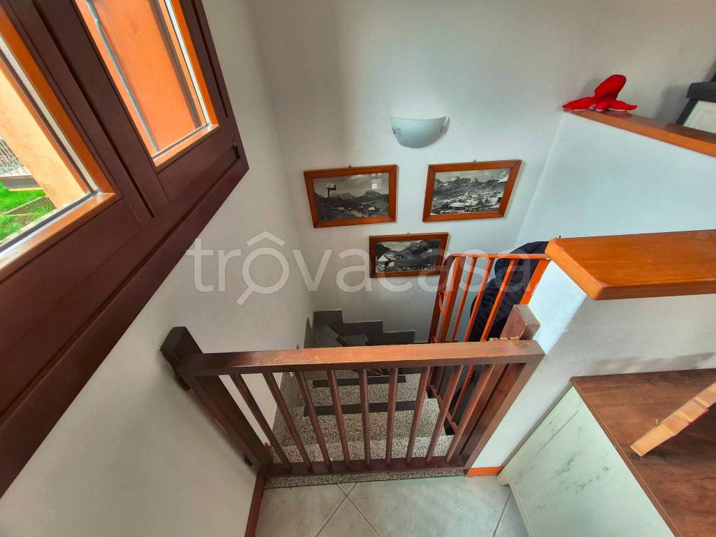 immagine annuncio 11 di 14