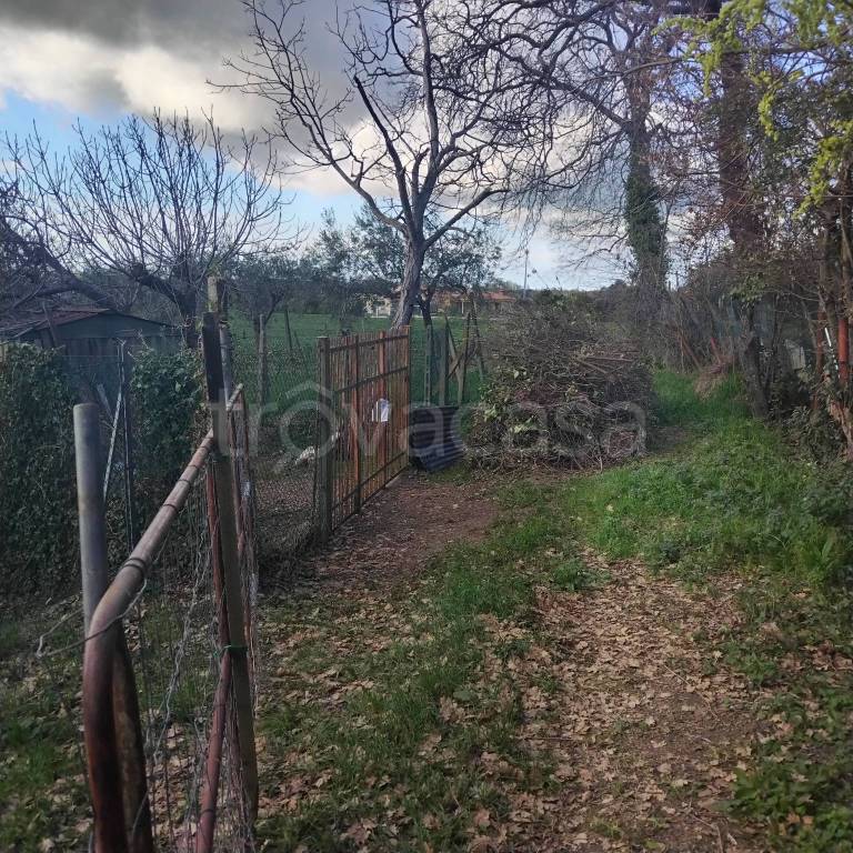 immagine annuncio 1 di 14