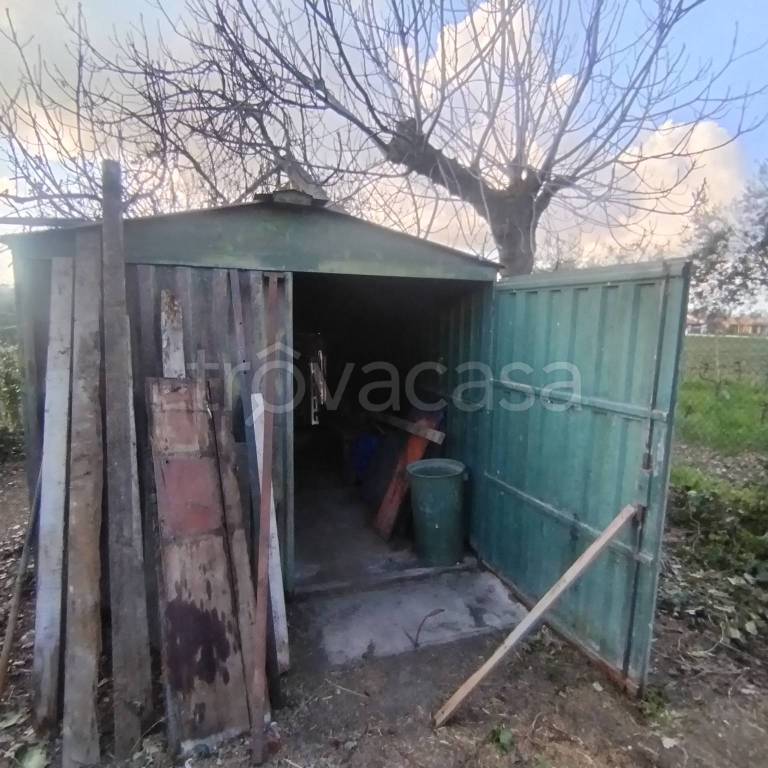 immagine annuncio 2 di 14