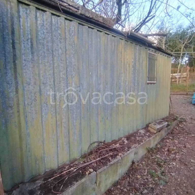 immagine annuncio 3 di 14