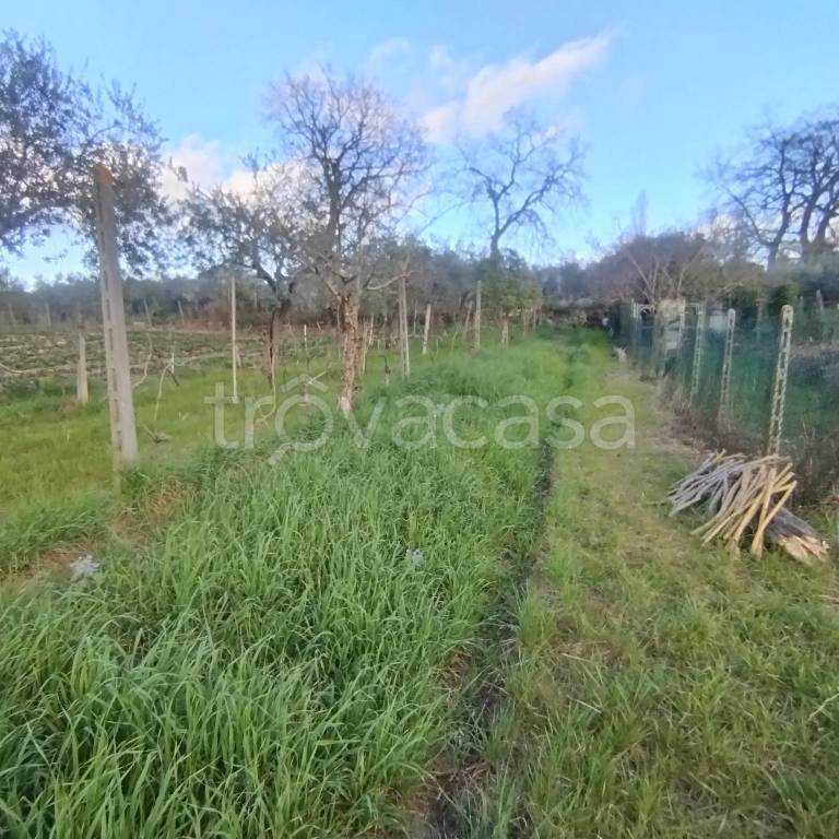 immagine annuncio 5 di 14