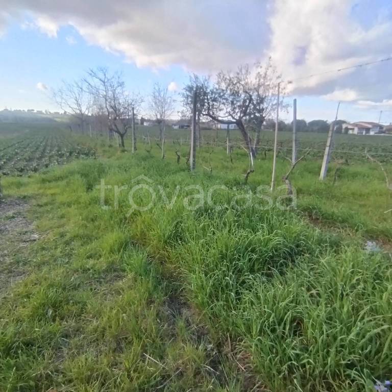 immagine annuncio 6 di 14