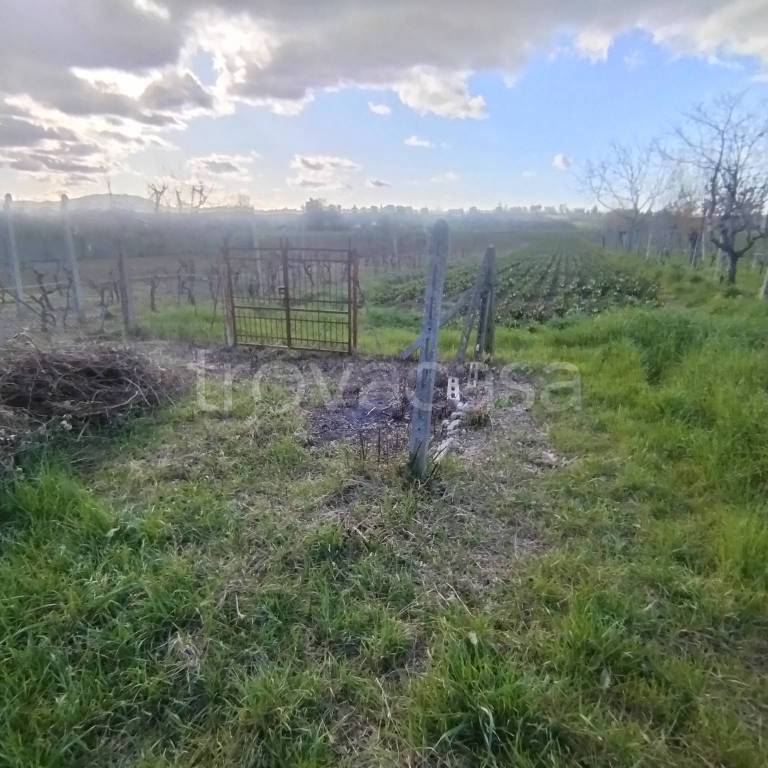 immagine annuncio 7 di 14