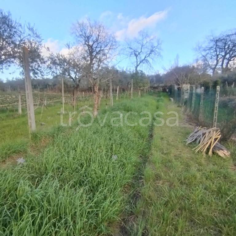 immagine annuncio 8 di 14