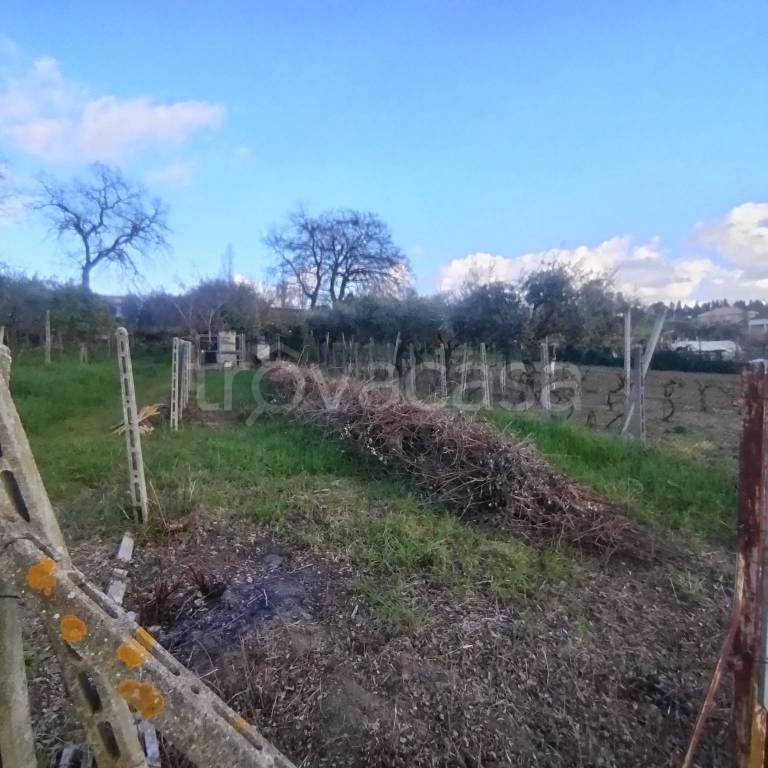 immagine annuncio 9 di 14