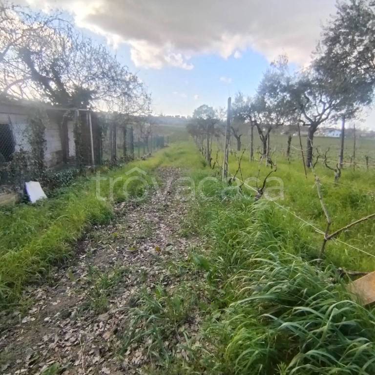 immagine annuncio 10 di 14