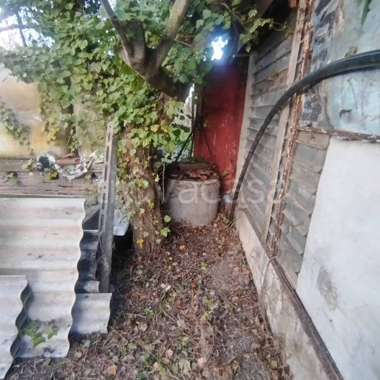 immagine annuncio 11 di 14