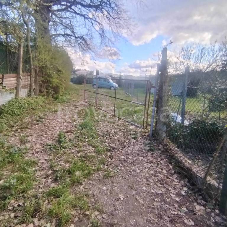 immagine annuncio 13 di 14