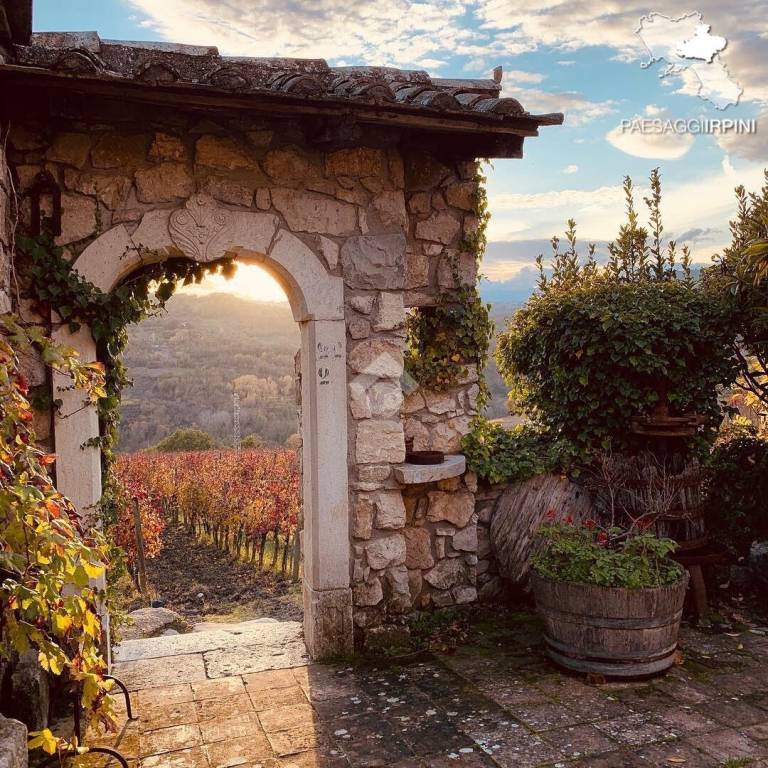 immagine annuncio 9 di 14