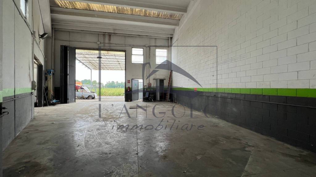 immagine annuncio 2 di 8